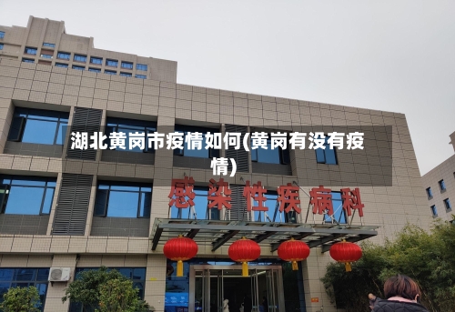 湖北黄岗市疫情如何(黄岗有没有疫情)-第2张图片