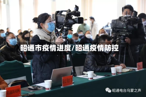昭通市疫情进度/昭通疫情防控-第3张图片