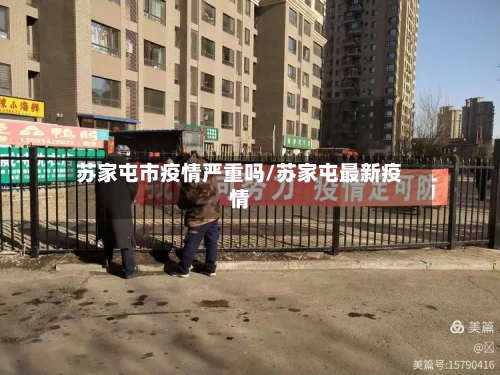 苏家屯市疫情严重吗/苏家屯最新疫情-第3张图片