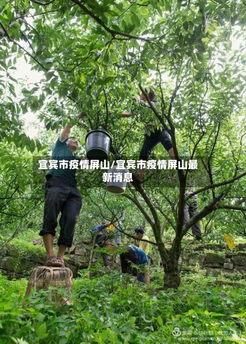 宜宾市疫情屏山/宜宾市疫情屏山最新消息-第2张图片