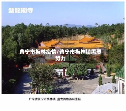 普宁市梅林疫情/普宁市梅林镇黑恶势力
