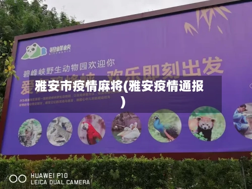 雅安市疫情麻将(雅安疫情通报)