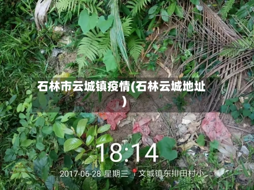 石林市云城镇疫情(石林云城地址)