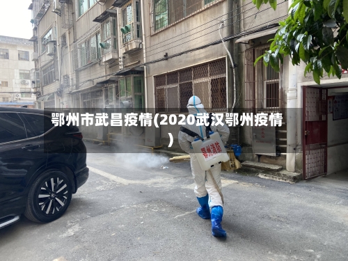 鄂州市武昌疫情(2020武汉鄂州疫情)