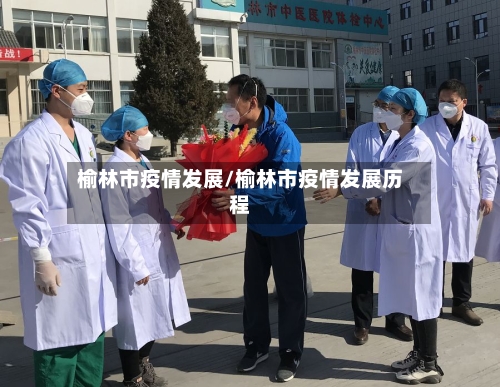 榆林市疫情发展/榆林市疫情发展历程-第2张图片