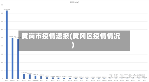 黄岗市疫情速报(黄冈区疫情情况)-第2张图片