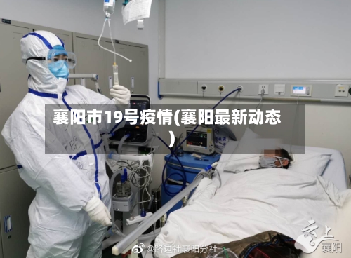 襄阳市19号疫情(襄阳最新动态)