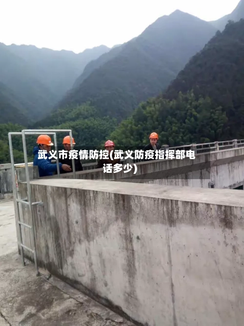 武义市疫情防控(武义防疫指挥部电话多少)-第2张图片