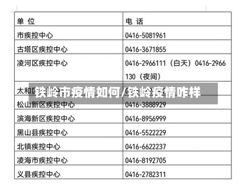 铁岭市疫情如何/铁岭疫情咋样