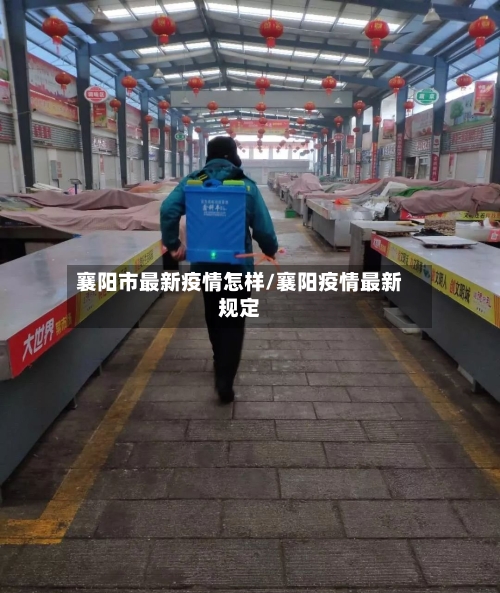 襄阳市最新疫情怎样/襄阳疫情最新规定-第2张图片