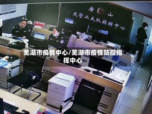 芜湖市疫情中心/芜湖市疫情防控指挥中心-第2张图片
