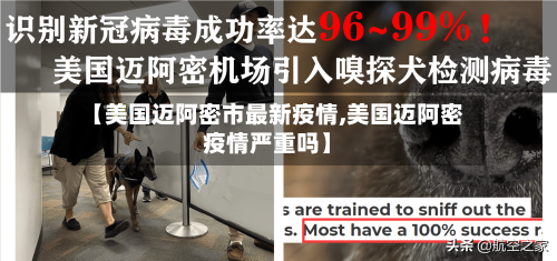 【美国迈阿密市最新疫情,美国迈阿密疫情严重吗】-第2张图片