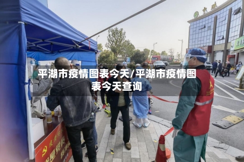 平湖市疫情图表今天/平湖市疫情图表今天查询-第2张图片