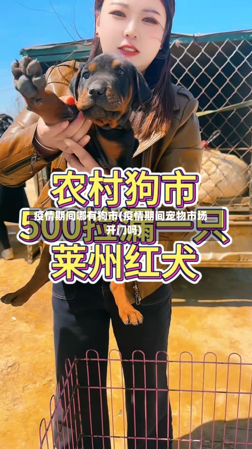 疫情期间哪有狗市(疫情期间宠物市场开门吗)-第2张图片
