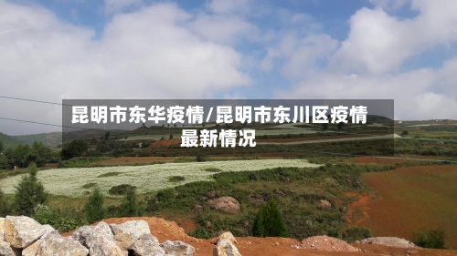 昆明市东华疫情/昆明市东川区疫情最新情况-第3张图片