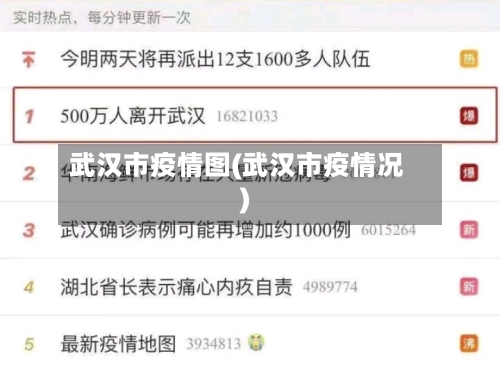 武汉市疫情图(武汉市疫情况)-第2张图片