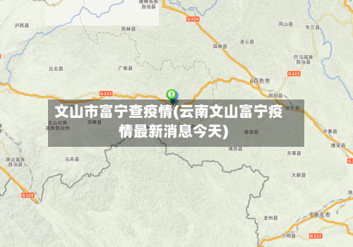 文山市富宁查疫情(云南文山富宁疫情最新消息今天)-第3张图片