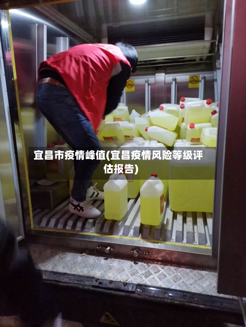 宜昌市疫情峰值(宜昌疫情风险等级评估报告)-第2张图片