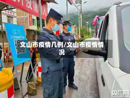 文山市疫情几例/文山市疫情情况-第2张图片