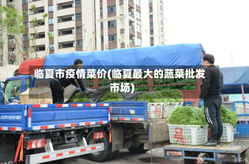 临夏市疫情菜价(临夏最大的蔬菜批发市场)-第2张图片