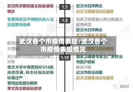 武汉各个市疫情表现/武汉各个市疫情表现情况-第2张图片