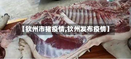 【钦州市猪疫情,钦州发布疫情】-第2张图片