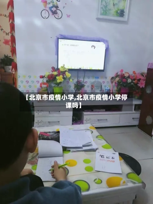 【北京市疫情小学,北京市疫情小学停课吗】