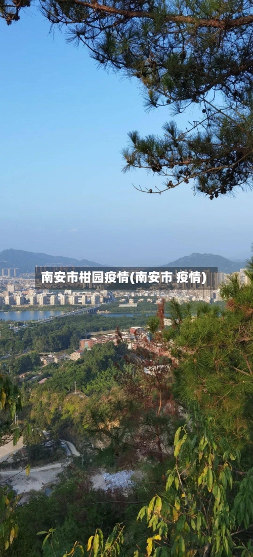 南安市柑园疫情(南安市 疫情)-第3张图片