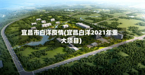 宜昌市白洋疫情(宜昌白洋2021年重大项目)