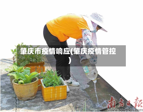 肇庆市疫情响应(肇庆疫情管控)-第2张图片