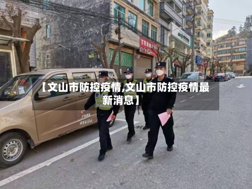 【文山市防控疫情,文山市防控疫情最新消息】-第2张图片