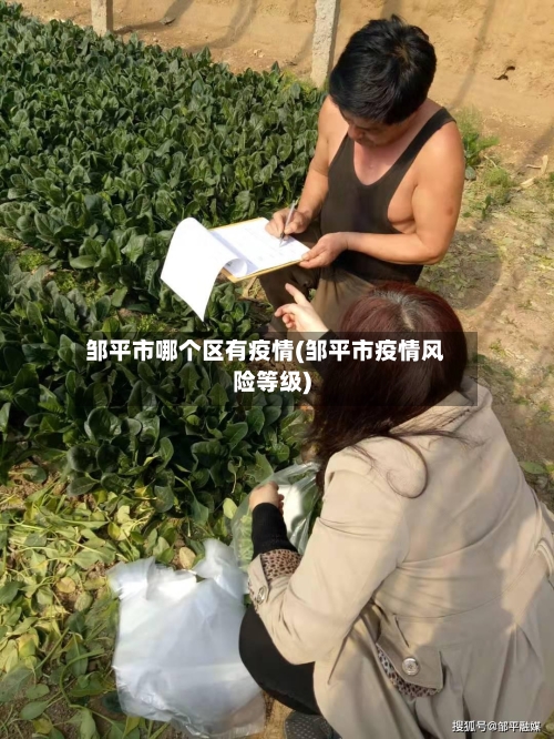 邹平市哪个区有疫情(邹平市疫情风险等级)