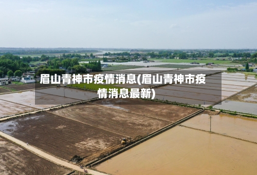 眉山青神市疫情消息(眉山青神市疫情消息最新)-第2张图片