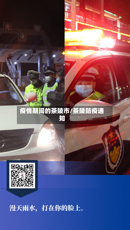 疫情期间的茶陵市/茶陵防疫通知-第2张图片
