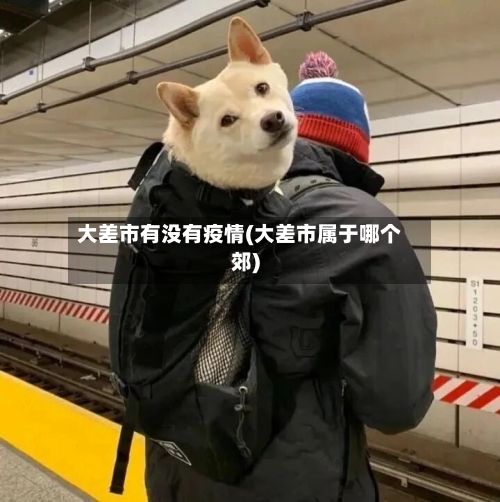 大差市有没有疫情(大差市属于哪个郊)