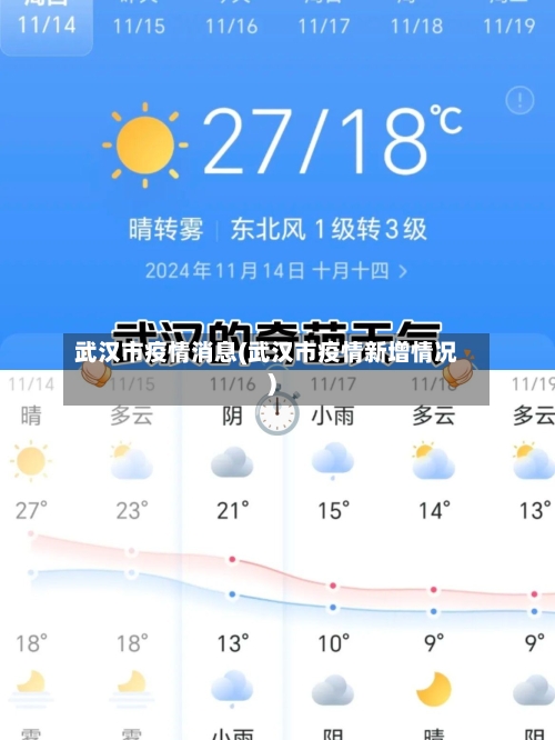 武汉市疫情消息(武汉市疫情新增情况)