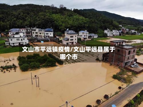 文山市平远镇疫情/文山平远县属于哪个市-第2张图片