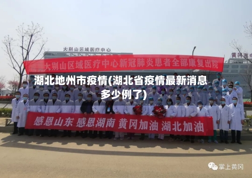 湖北地州市疫情(湖北省疫情最新消息多少例了)-第2张图片