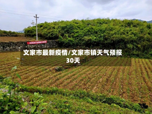 文家市最新疫情/文家市镇天气预报30天-第2张图片