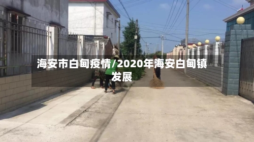 海安市白甸疫情/2020年海安白甸镇发展-第2张图片