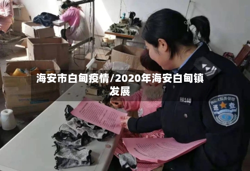 海安市白甸疫情/2020年海安白甸镇发展