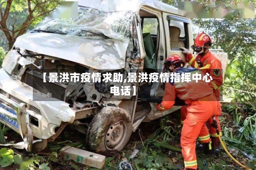 【景洪市疫情求助,景洪疫情指挥中心电话】-第2张图片