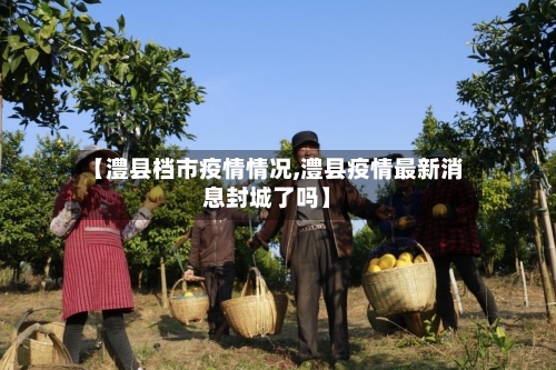 【澧县档市疫情情况,澧县疫情最新消息封城了吗】