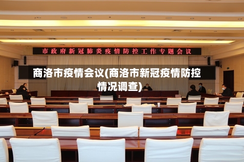 商洛市疫情会议(商洛市新冠疫情防控情况调查)-第2张图片