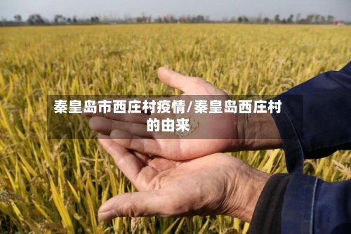 秦皇岛市西庄村疫情/秦皇岛西庄村的由来-第2张图片