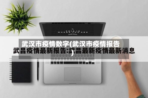 武汉市疫情数字(武汉市疫情报告)-第3张图片