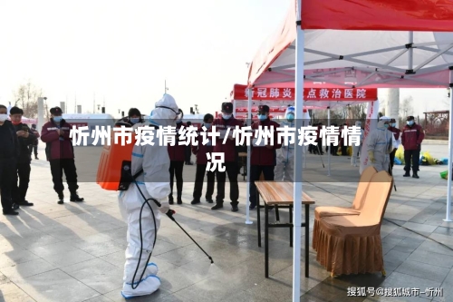 忻州市疫情统计/忻州市疫情情况-第2张图片