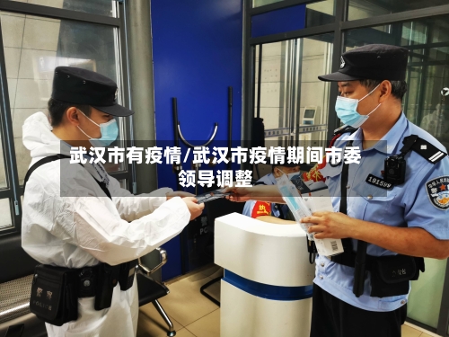 武汉市有疫情/武汉市疫情期间市委领导调整-第3张图片