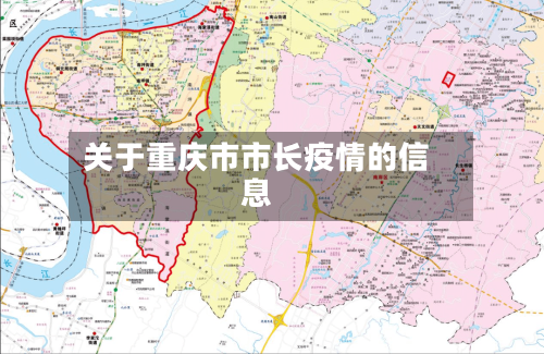 关于重庆市市长疫情的信息-第2张图片