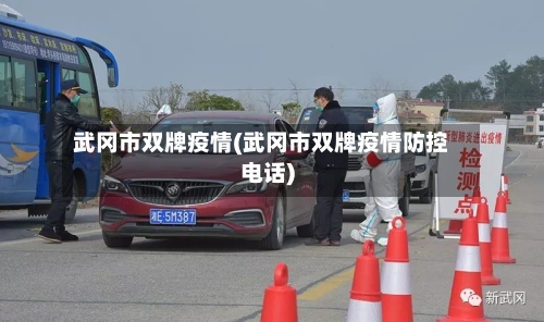 武冈市双牌疫情(武冈市双牌疫情防控电话)